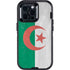 Algeria Flag Distressed Otterbox Defender iPhone Skin